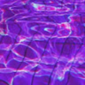 Meet your Posher, Daisy